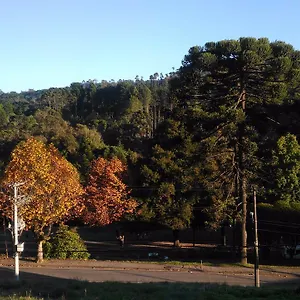 Rosa Campos do Jordão